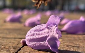 Fiesta Americana Reforma